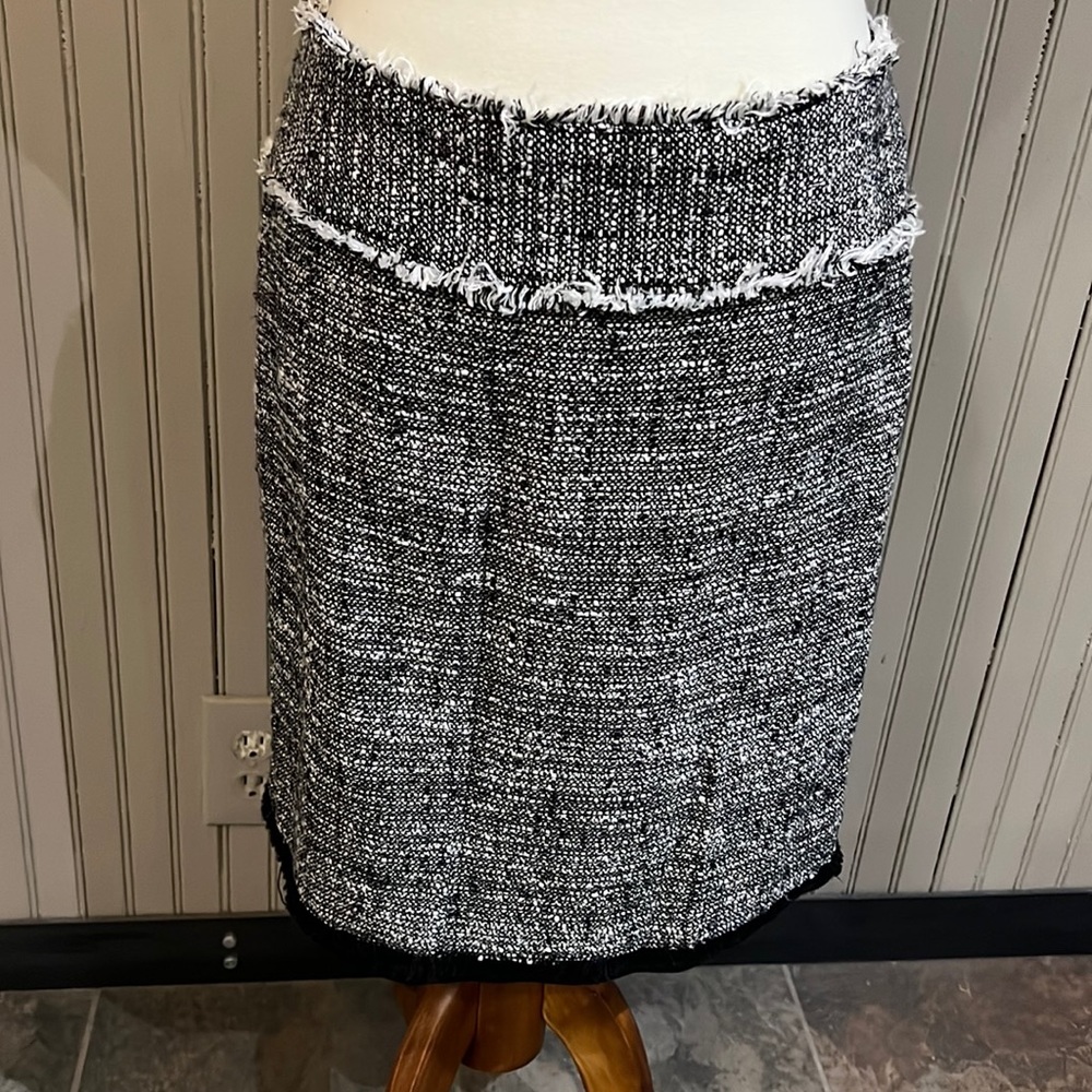 Ann Taylor Skirt